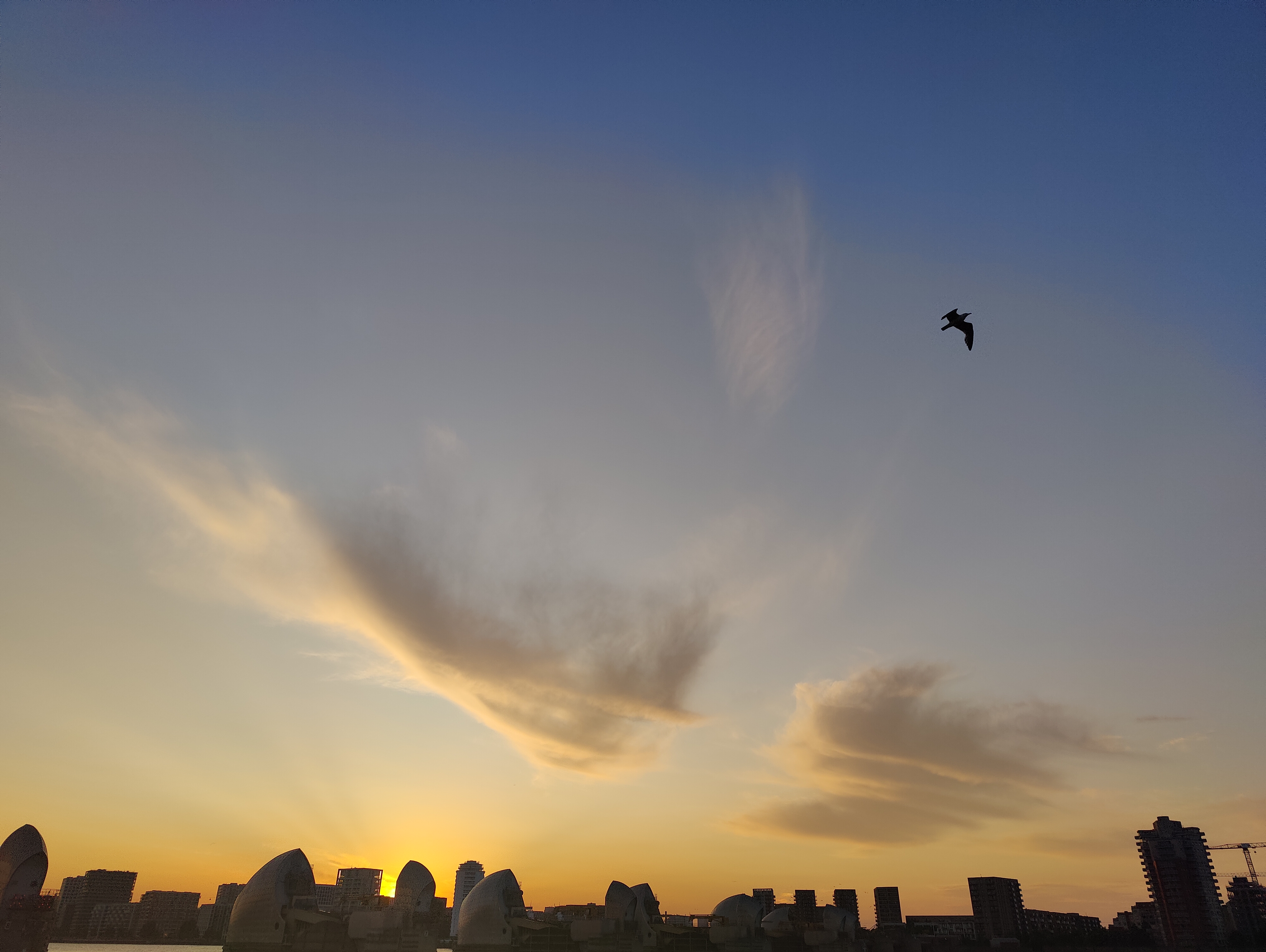 The Thames Barrier hoods silhouetted against a sunset sky with a bird in flight
